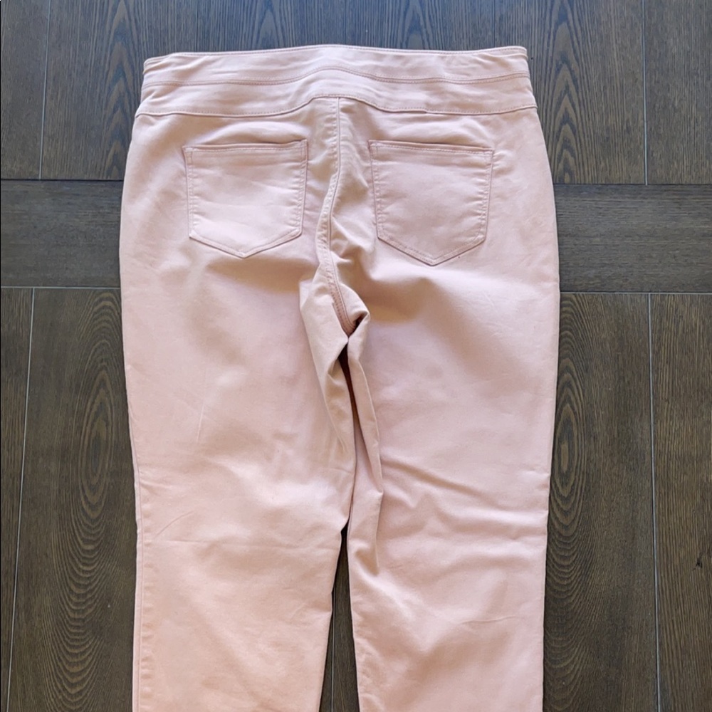 Style & Co Woman’s Blush Pink Pant. Size 12